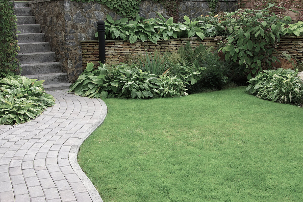 Welcome to CH Landscaping